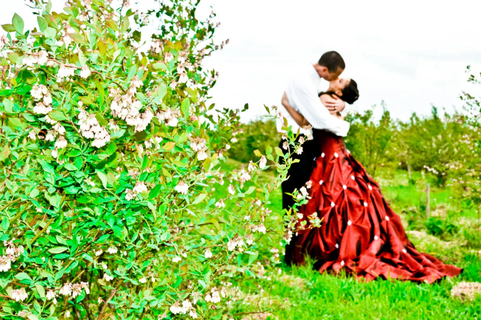 Flowering blueberry bushes with Lisette and Grant behind